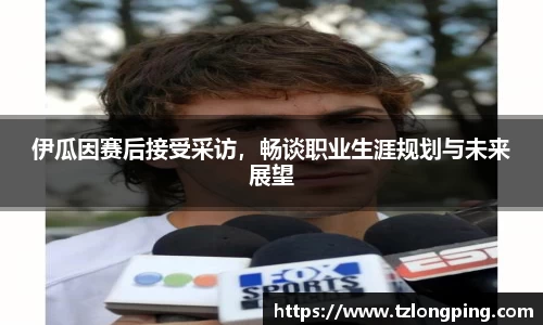 万博max官网