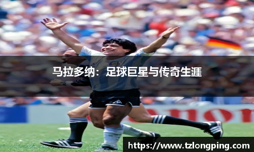 万博max入口