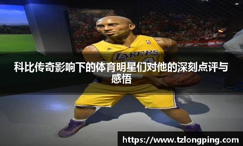 万博max入口