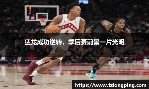 万博max官网