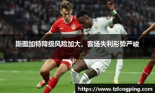 万博max官网