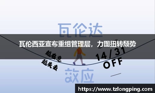万博max官网