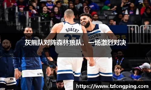 灰熊队对阵森林狼队，一场激烈对决