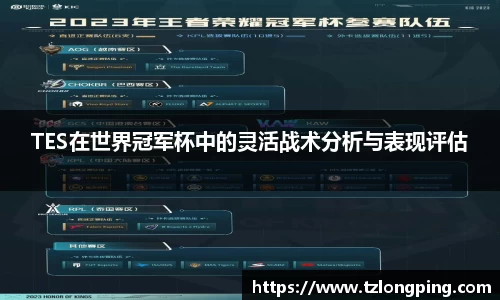 TES在世界冠军杯中的灵活战术分析与表现评估