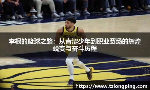 万博max官网