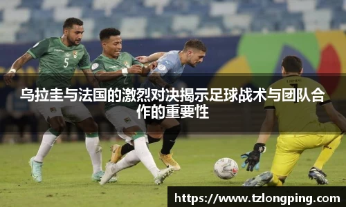 万博max入口