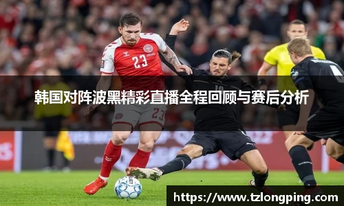 韩国对阵波黑精彩直播全程回顾与赛后分析