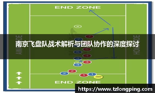 南京飞盘队战术解析与团队协作的深度探讨