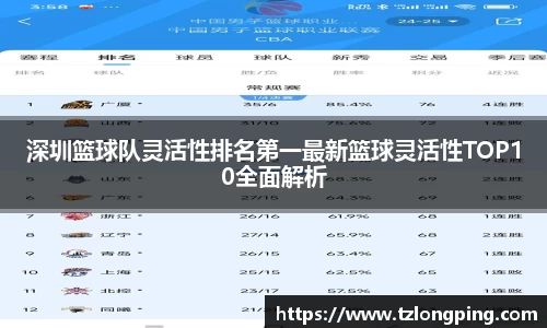 深圳篮球队灵活性排名第一最新篮球灵活性TOP10全面解析