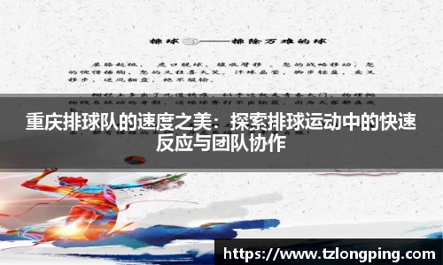 万博max平台